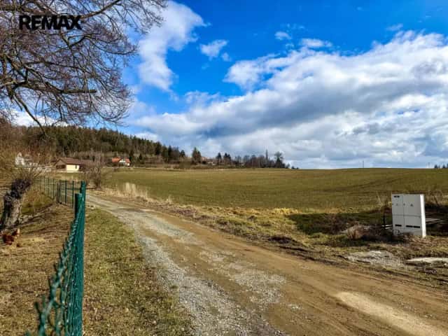 Prodej pozemku pro bydlení 4190 m2, Kladruby, Kladruby, okres Benešov