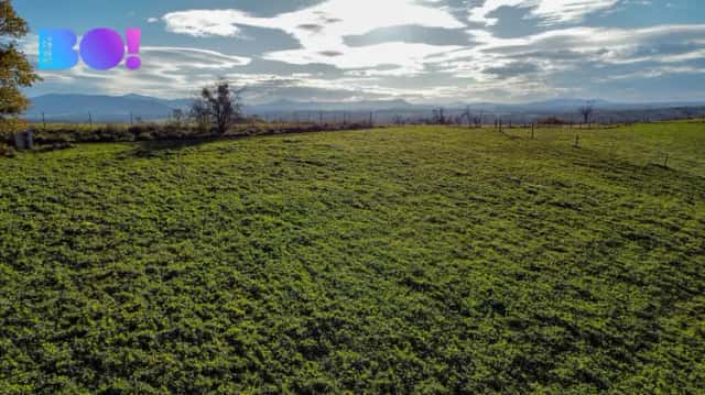 Prodej pozemku 4 357 m2, Těrlicko, Těrlicko, okres Karviná