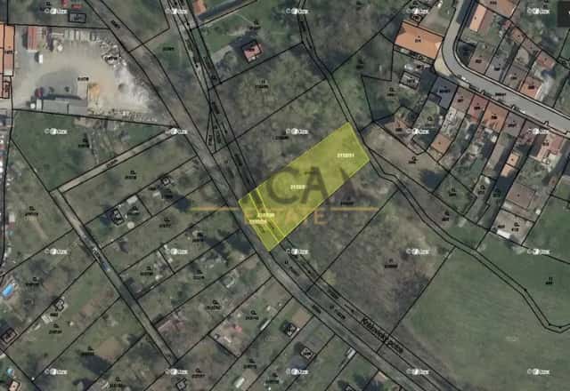 Trvalý travní porost v k.ú. Kralovice u Rakovníka, Kralovice, okres Plzeň-sever