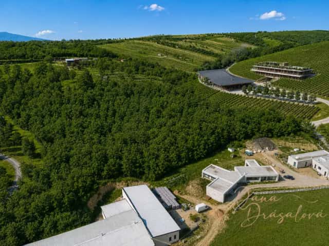 Komerční pozemek 7238 m2 v rozvojové a atraktivní lokalitě, Velké Pavlovice, Velké Pavlovice, okres Břeclav