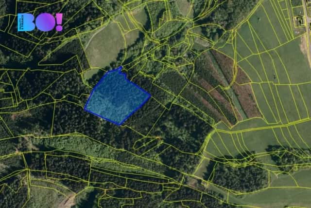 Prodej lesa, 14596 m2, Valašská Polanka, Valašská Polanka, okres Vsetín
