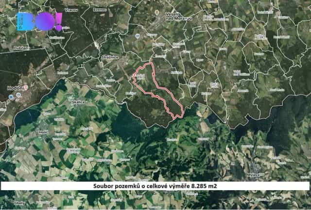 Prodej pole, 8285 m2, Tvarožná Lhota, Tvarožná Lhota, okres Hodonín