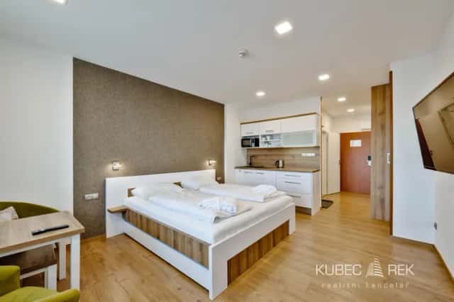 Prodej komplexu tří apartmánů 1+kk, 30 m2, Wellness Hotel Frymburk, Frymburk, okres Český Krumlov