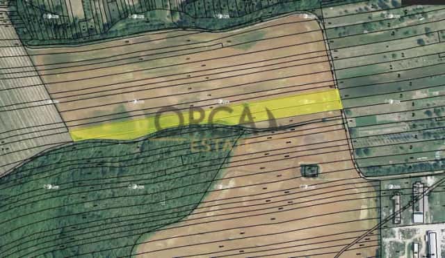 0,6 ha pozemků v k.ú. Syrovín, Syrovín, okres Hodonín