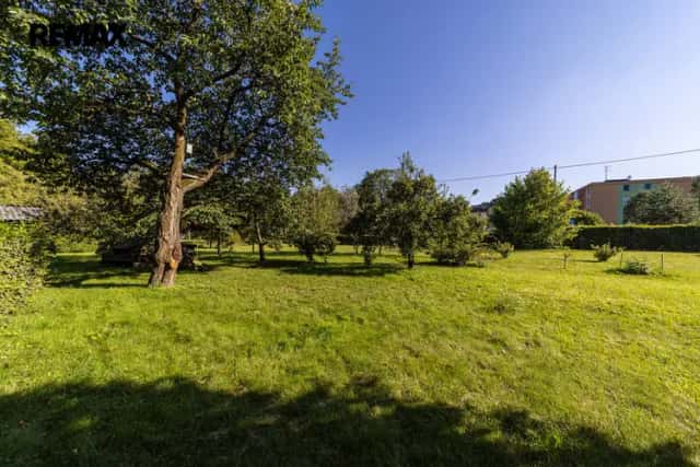 Prodej pozemku v Olšanech nad Moravou, Olšany, okres Šumperk