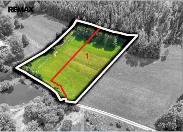 Prodej stavebního pozemku 3948 m2, Moravský Karlov u Červené Vody, Červená Voda, okres Ústí nad Orlicí