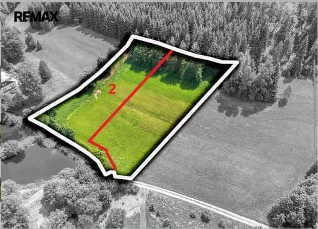 Prodej stavebního pozemku 4045 m2, Moravský Karlov u Červené Vody, Červená Voda, okres Ústí nad Orlicí