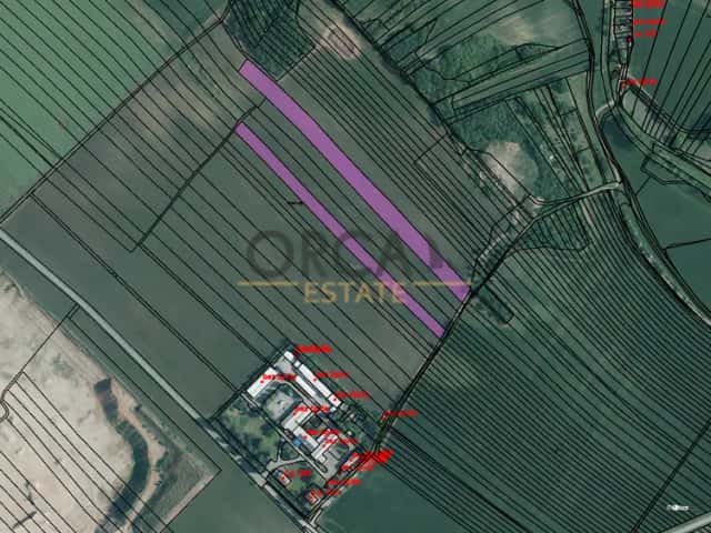 Prodej pozemků o celkové výměře 18 217 m2 v k.ú. Hrušovany u Brna, Hrušovany u Brna, okres Brno-venkov