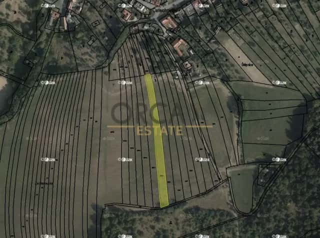 0,2 ha orné půdy v k. ú Cetechovice, Cetechovice, okres Kroměříž