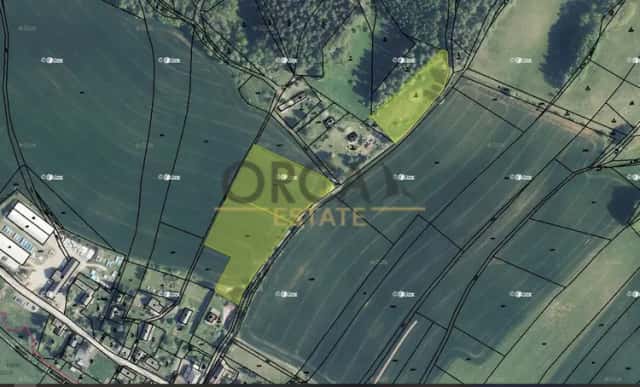 1,2 ha pozemků v k.ú. Borovnička, Borovnička, okres Trutnov