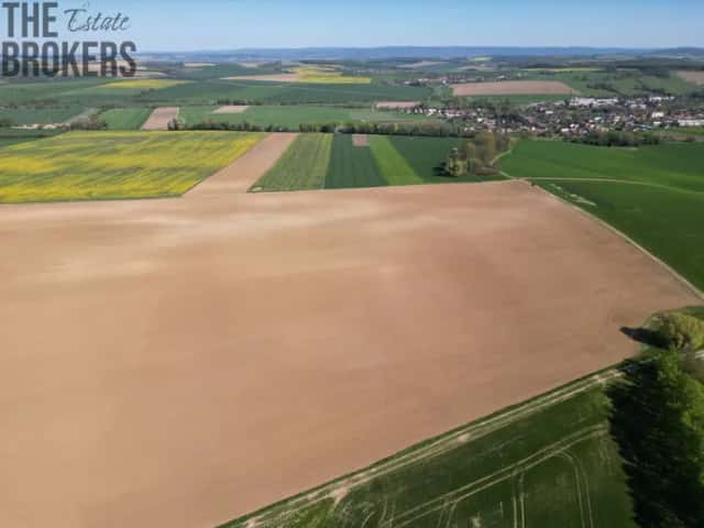 Prodej zemědělských pozemků Turovice, Turovice, okres Přerov