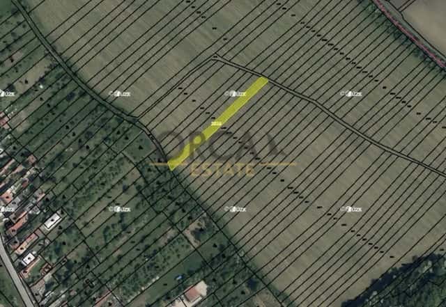 Prodej pozemku 0,1 ha v k.ú. Radějov u Strážnice, Radějov, okres Hodonín
