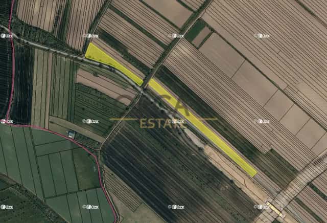 Prodej pozemků v k. ú. Moravský Písek o výměře 11.506 m2, Moravský Písek, okres Hodonín
