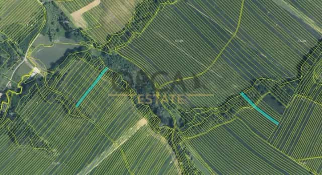 Prodej 0,6 ha pozemků v k. ú. Mistřice I, Mistřice, okres Uherské Hradiště
