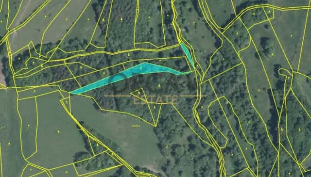 Prodej 1 ha pozemků v k. ú. Pozlovice, Pozlovice, okres Zlín