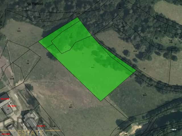 Prodej 0,8 ha pozemků v k. ú. Hněvkov, Zábřeh, okres Šumperk