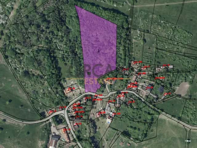 Prodej lesního pozemku v k.ú. Skalice u Lovosic o výměře 15940 m2, Třebívlice, okres Litoměřice