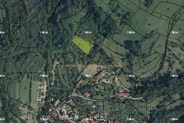 0,14 ha pozemku v k. ú. Nedašova Lhota, Nedašova Lhota, okres Zlín