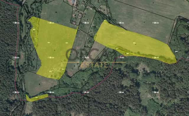 4,9 ha pozemků v k.ú. Stav, Úbislavice, okres Jičín
