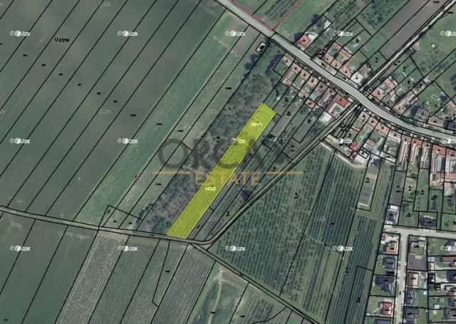 0,2 ha pozemků v k.ú. Moravský Žižkov, Moravský Žižkov, okres Břeclav