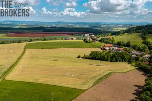 Prodej zemědělské půdy 29 192 m2 s možností vytvoření vlastního hospodaření, Přibyšice, Neveklov, okres Benešov