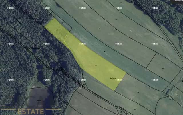 1,98 ha pozemků v k.ú. Velký Valtinov, Velký Valtinov, okres Česká Lípa