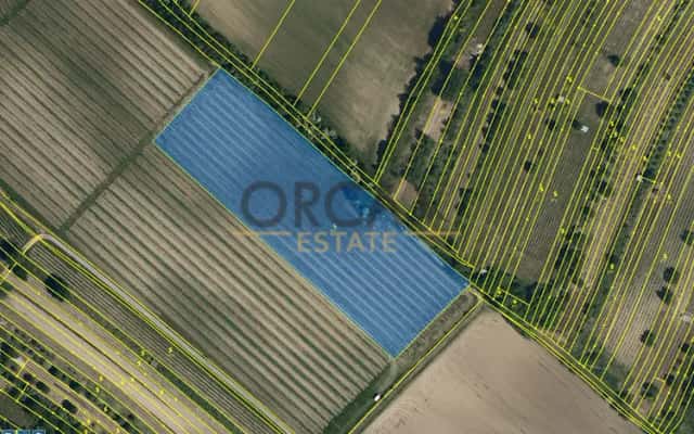 1,3 ha vinice v k.ú. Mutěnice, Mutěnice, okres Hodonín