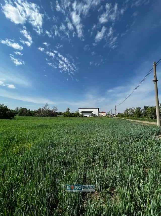Prodej pozemku v obci Hrušky u Břeclavi, 380 m2, Hrušky, okres Břeclav