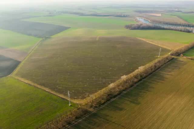 Prodej špičkového produkčního vinohradu Troskotovice (24 ha), Troskotovice, okres Brno-venkov