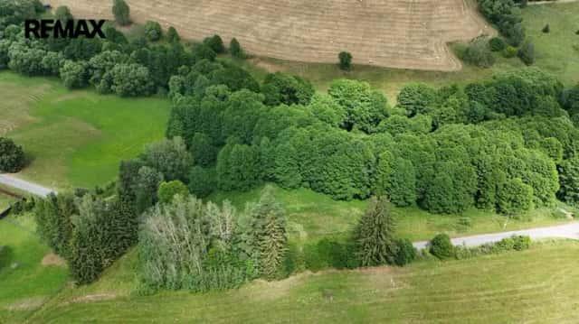 Prodej zemědělského pozemku 6 111 m2, Svojanov u Borušova, Borušov, okres Svitavy