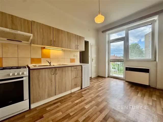 Pronájem pěkného bytu s balkónem 1+1, 42 m2 - ul. Kotkova, Brno, Kotkova, Brno – Brno-Černovice, okres Brno-město