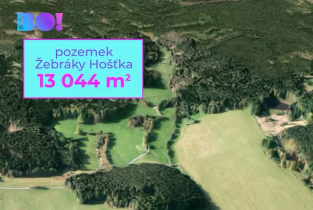 Prodej zemědělského pozemku, 13 044 m2, Žebráky, Hošťka, Hošťka, okres Tachov