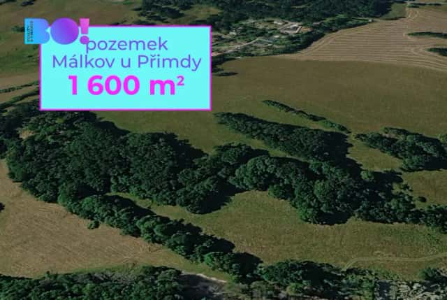 Prodej zemědělského pozemku, 1 600 m2, Přimda, Přimda, okres Tachov