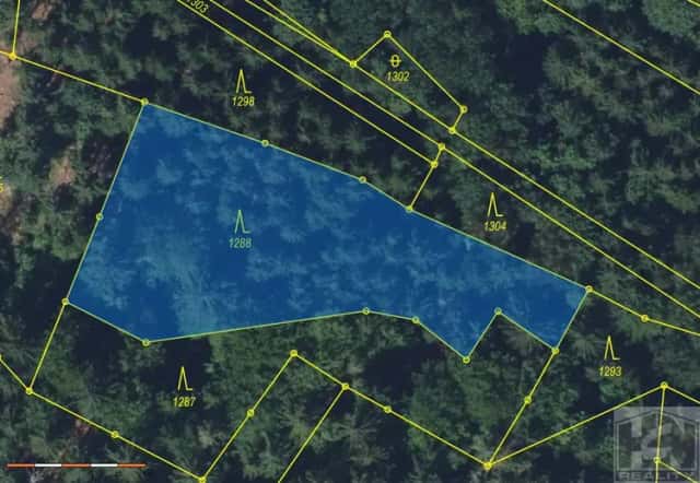 Prodej lesního pozemku 2 272 m and sup2; Jablonec nad Jizerou, Krkonoše, Jablonec nad Jizerou, okres Semily