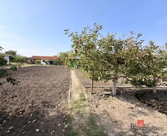 Prodej zahrady 401 m2, Podivín, Nerudova, Podivín, okres Břeclav