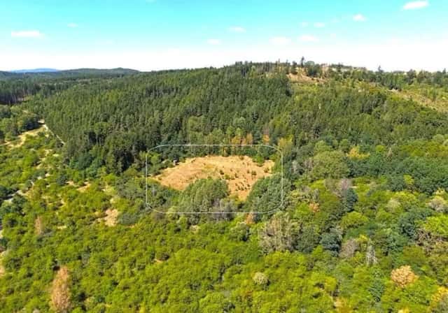 Pozemek - trvalý travní porost 8.000 m2 v přírodní lesní lokalitě Dubina, Libá, okres Cheb