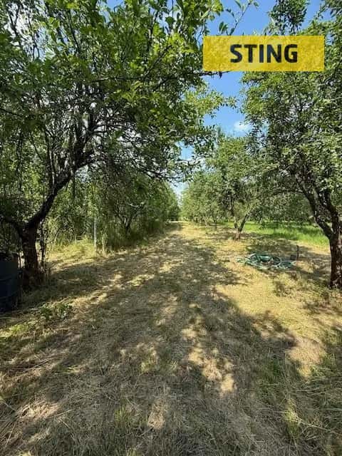 Exkluzivně vám nabízíme zahradu ve Strážnici v lokalitě Žabné., Strážnice, okres Hodonín