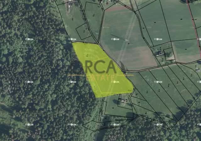 1,6 ha pozemků v k.ú. Hořensko, Slaná, okres Semily