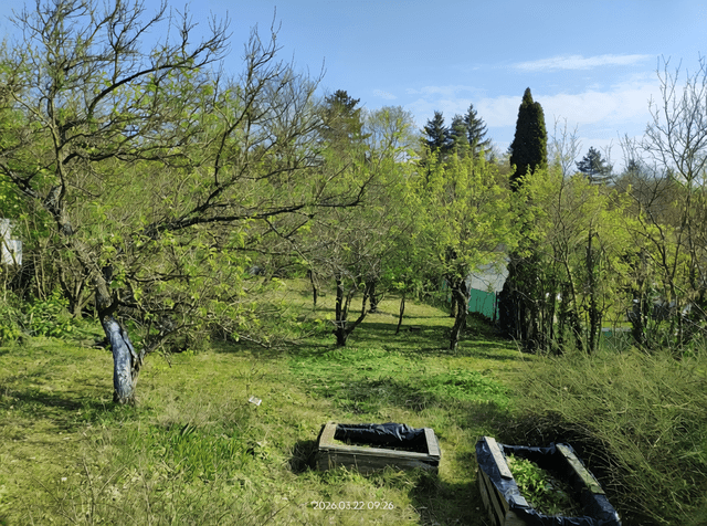 Prodej pozemku, Brno – Jundrov, okres Brno-město