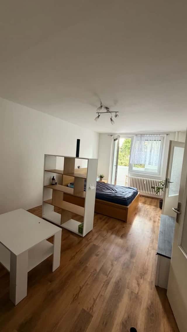 Pronájem bytu 1+1 44 m², Rerychova, Brno – Bystrc, okres Brno-město