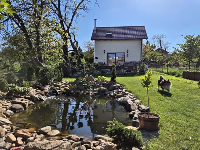 Pronájem objektu, Znojmo – Znojmo-město