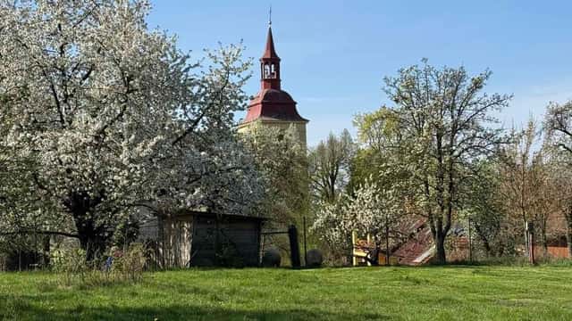 Prodej pozemku, Boseň, okres Mladá Boleslav