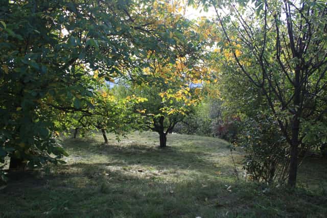 Prodej pozemku, Chrudim