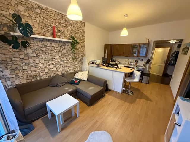 Pronájem bytu 2+kk 52 m², Hartigova, Praha 3 – Žižkov