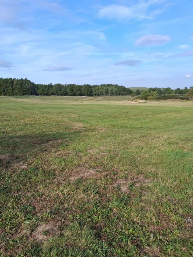 Prodej pozemku, Lhenice – Hrbov u Lhenic, okres Prachatice