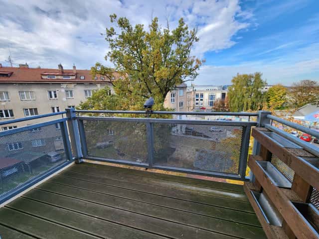 Pronájem bytu 3+1 80 m², Jana Masaryka, Jihlava