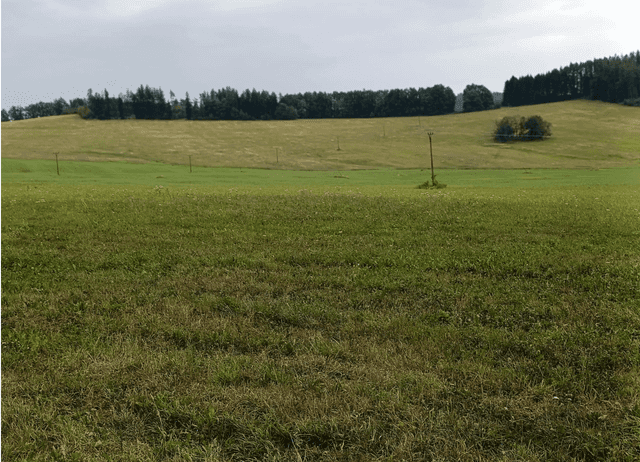 Prodej pozemku, Malšín – Ostrov na Šumavě, okres Český Krumlov