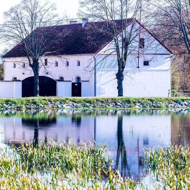 Pronájem objektu, Pňovany, okres Plzeň-sever