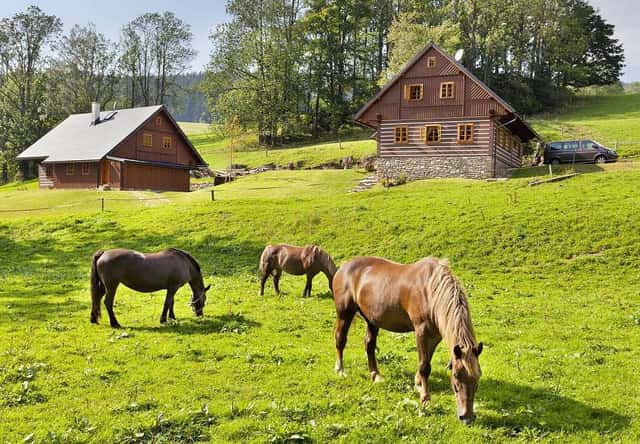 Pronájem objektu, Horní Maršov – Horní Lysečiny, okres Trutnov