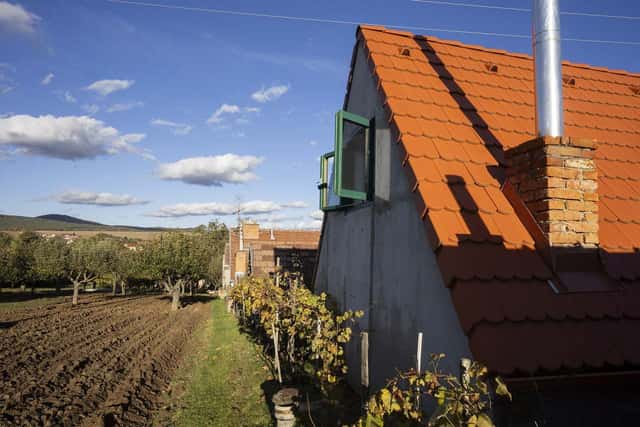 Pronájem objektu, Moravany – Moravany u Kyjova, okres Hodonín